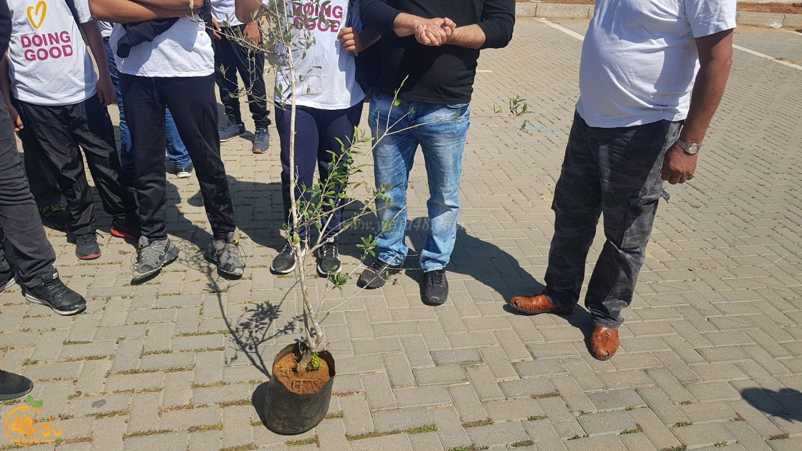 tasooshamelaj3haj (13).jpg